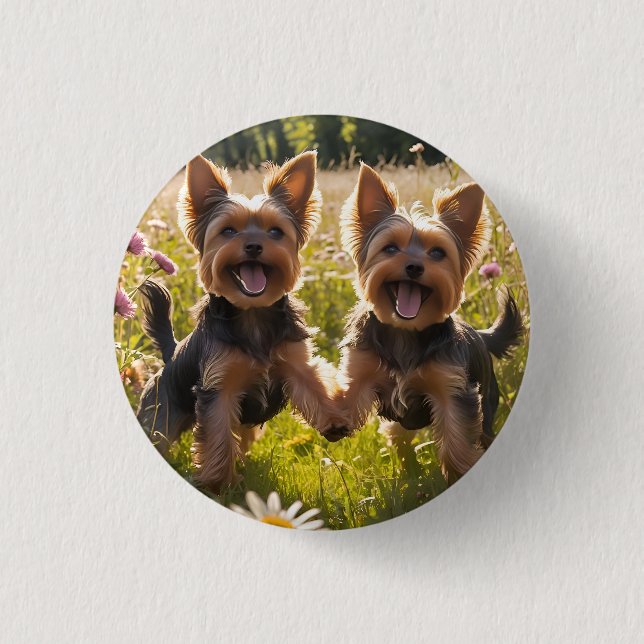 Yorkshire Terriers Playing in the Grass 3 Cm Round Badge (Front)