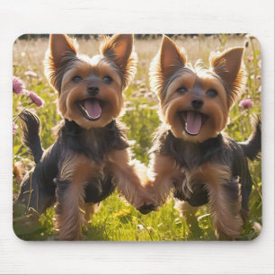 Yorkshire Terriers Playing in the Grass Mouse Pad