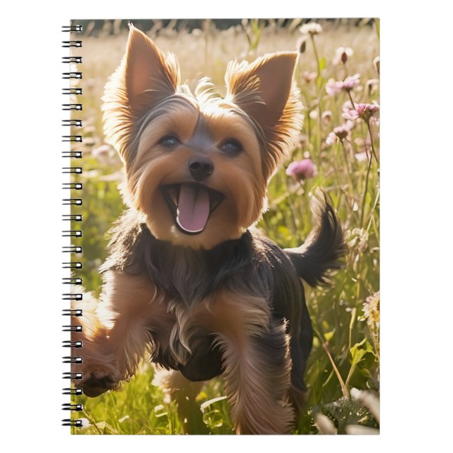 Yorkshire Terriers Playing in the Grass Notebook (Front)