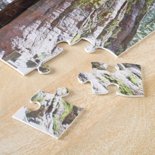 Yosemite Big Tree Puzzle