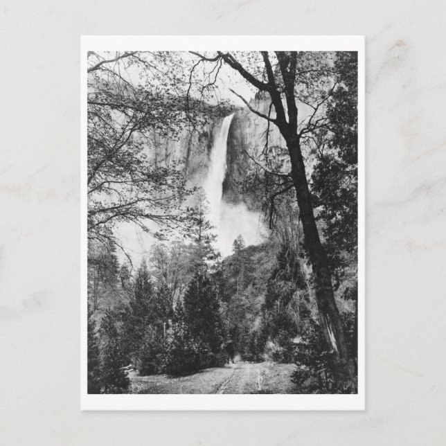 Yosemite Bridal Veil Falls Vintage California Postcard (Front)