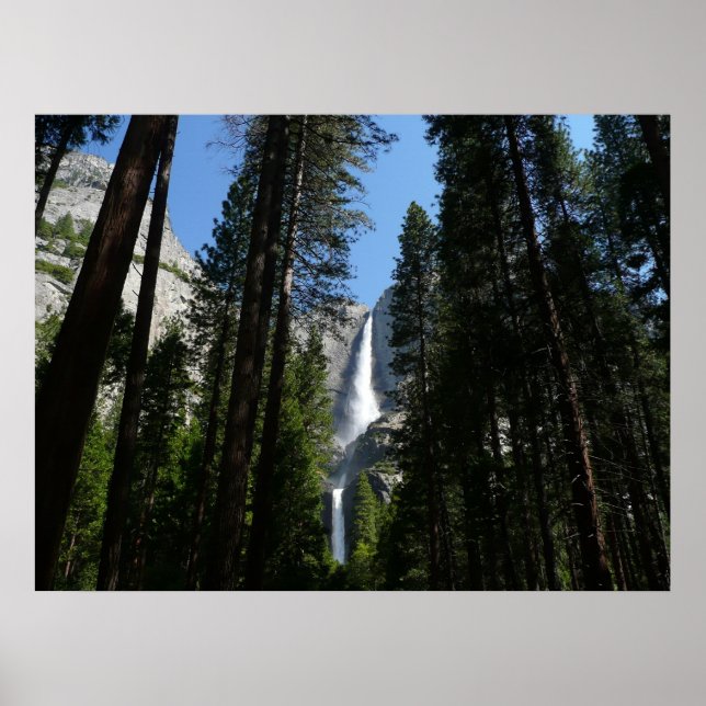 Yosemite Falls and Woods Landscape Photography Poster (Front)