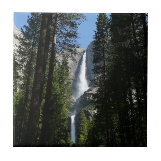 Yosemite Falls and Woods Landscape Photography Tile (Front)