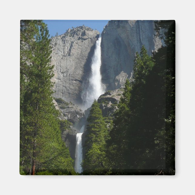 Yosemite Falls II from Yosemite National Park Magnet (Front)