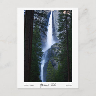 Yosemite Falls Prints Postcard