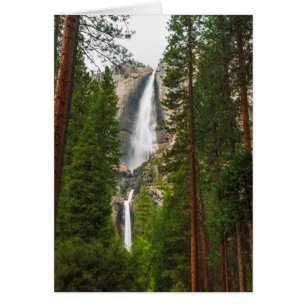 Yosemite Falls through the Forest