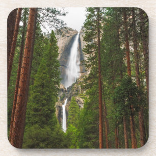 Yosemite Falls through the Forest Coaster