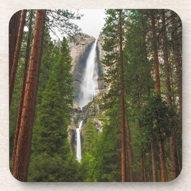 Yosemite Falls through the Forest Coaster (Front)