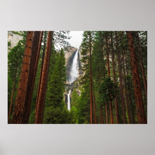 Yosemite Falls through the Forest Poster (Front)
