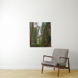 Yosemite Falls through the Forest Tapestry