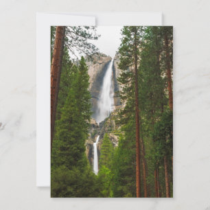 Yosemite Falls through the Forest Thank You Card