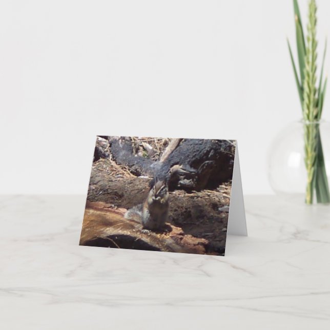 Yosemite in Spring:  A Furry Friend Card (Front)