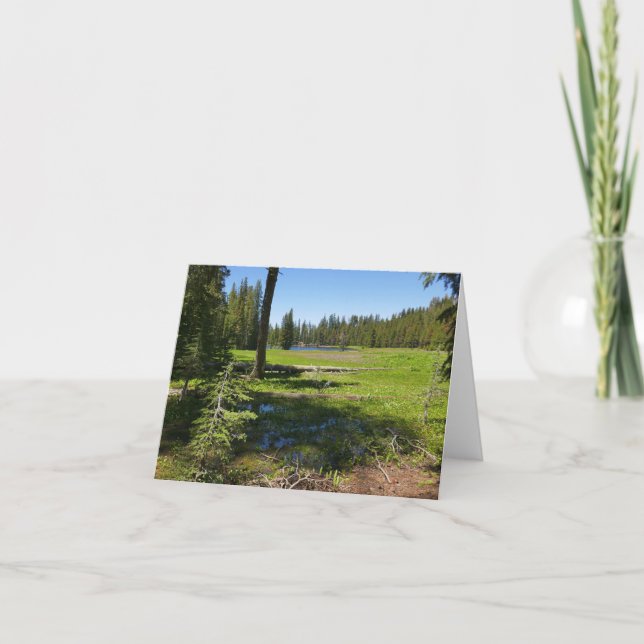 Yosemite Meadow with Shooting Stars Card (Front)