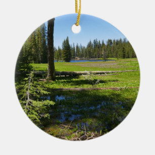 Yosemite Meadow with Shooting Stars Ceramic Tree Decoration