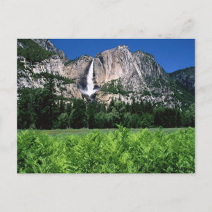 Yosemite National Park, Ca Postcard