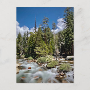 Yosemite National Park, California Postcard