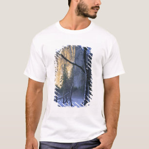 YOSEMITE NATIONAL PARK, CALIFORNIA. USA. Light T-Shirt