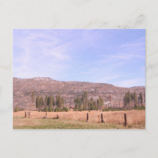 Yosemite National Park in California PostCard