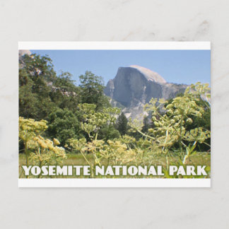 Yosemite National Park Postcard