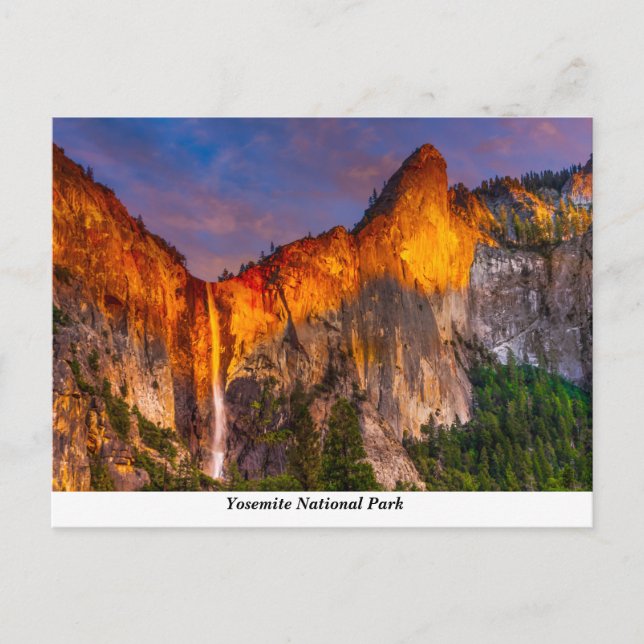Yosemite National Park Postcard (Front)