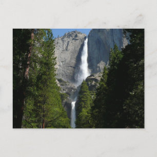 Yosemite National Park Postcard