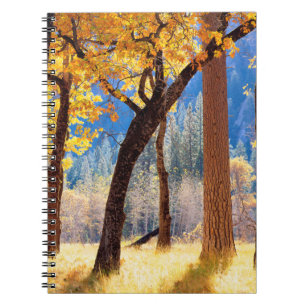 Yosemite National Park Spiral Notebook