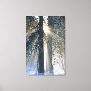 Yosemite National Park - Sun rays streaming Canvas Print