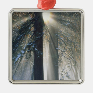 Yosemite National Park - Sun rays streaming Metal Tree Decoration