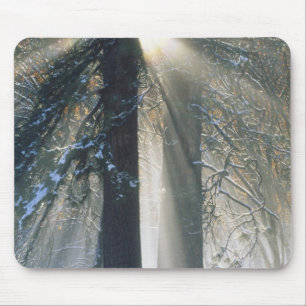 Yosemite National Park - Sun rays streaming Mouse Pad