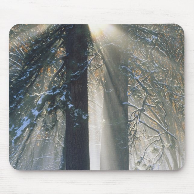 Yosemite National Park - Sun rays streaming Mouse Pad (Front)