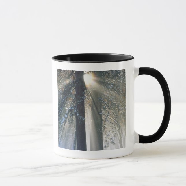 Yosemite National Park - Sun rays streaming Mug (Right)