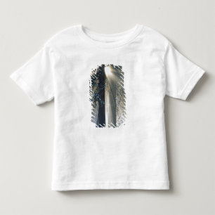 Yosemite National Park - Sun rays streaming Toddler T-Shirt
