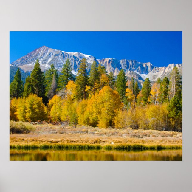 Yosemite National Park's Tioga Pass Poster (Front)
