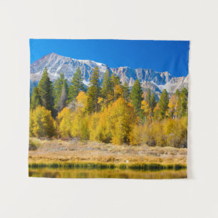 Yosemite National Park's Tioga Pass Tapestry