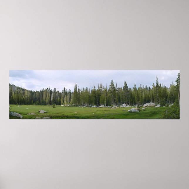 Yosemite Panorama Poster (Front)