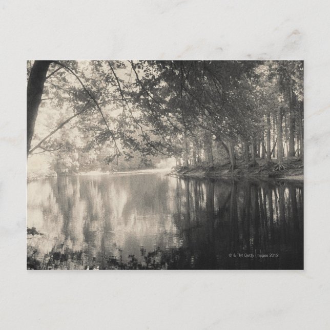 Yosemite Park, Wyoming Postcard (Front)