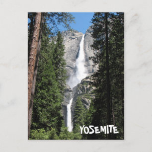 Yosemite Postcard! Postcard