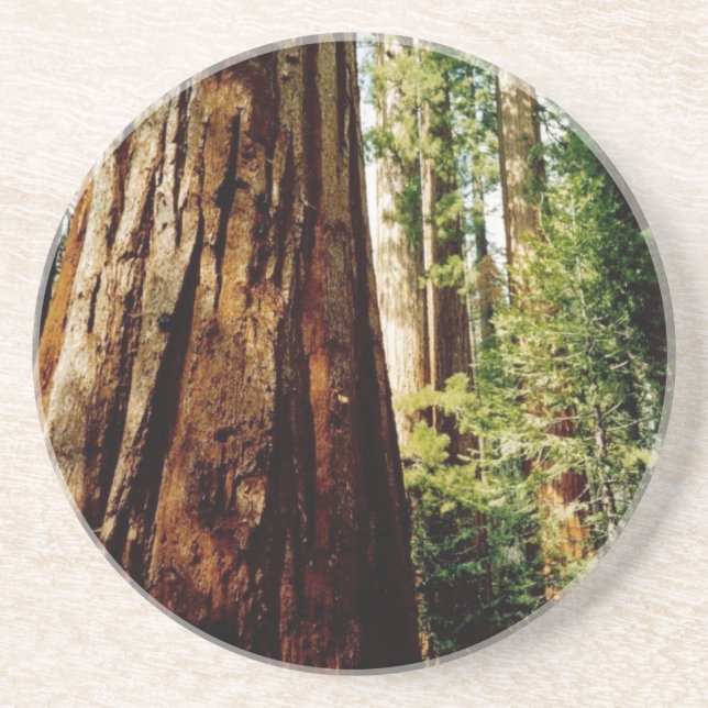 Yosemite Redwoods Coaster (Front)
