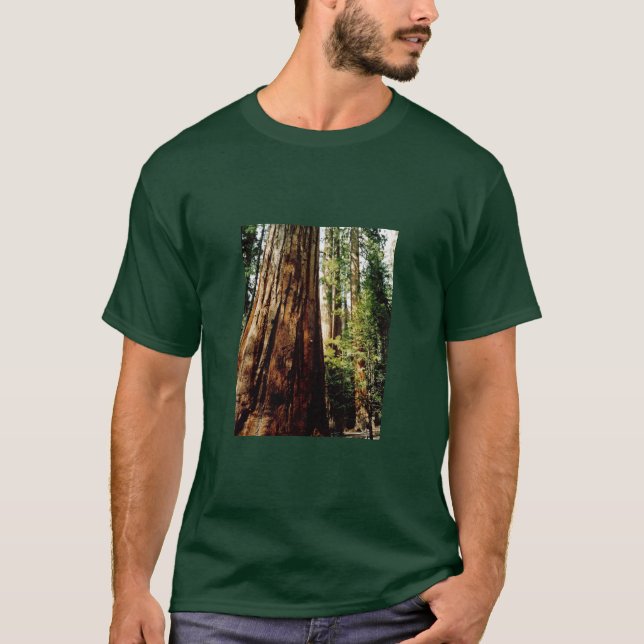 Yosemite Redwoods T-Shirt (Front)