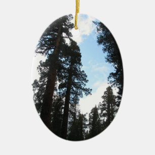 Yosemite Trees Ceramic Tree Decoration