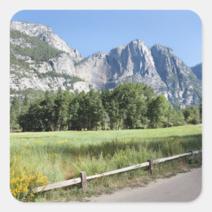 Yosemite Valley Meadow, El Capitan, Staycation Square Sticker