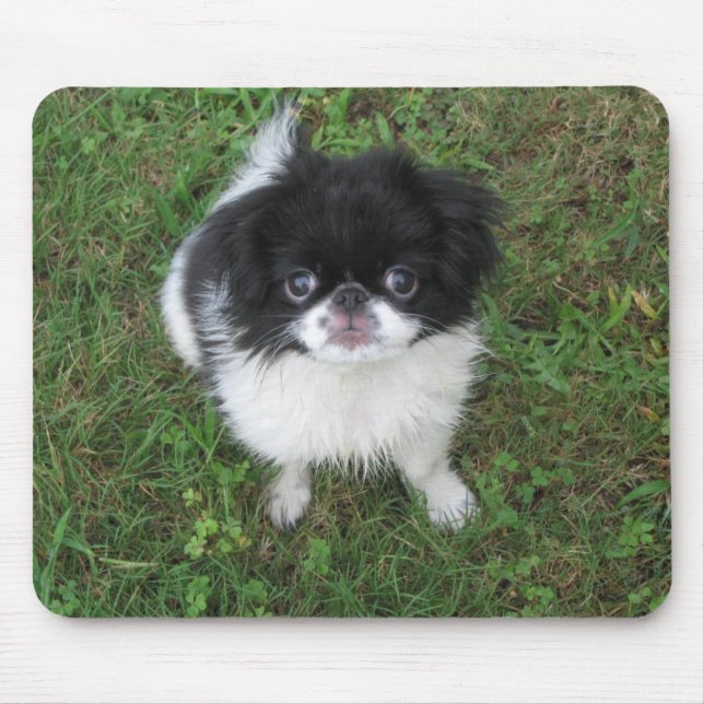 Yoshi Mouse Pad (Front)