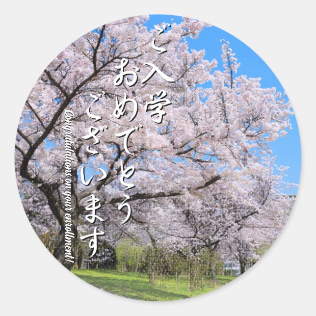 Yoshino Cherry ラウンドシール Classic Round Sticker (Front)