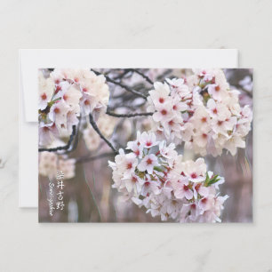 Yoshino Cherry Card
