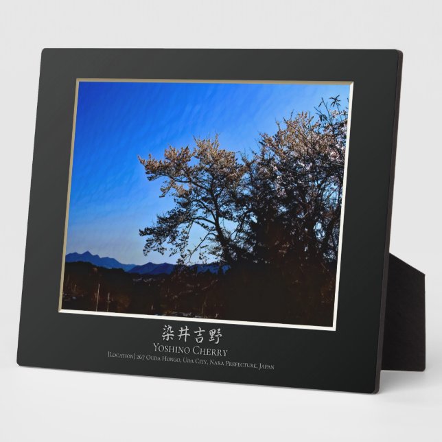 Yoshino Cherry Plaque (Side)