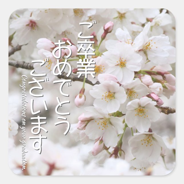 Yoshino Cherry Square Sticker (Front)