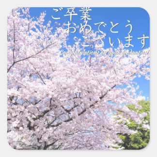 Yoshino Cherry Square Sticker