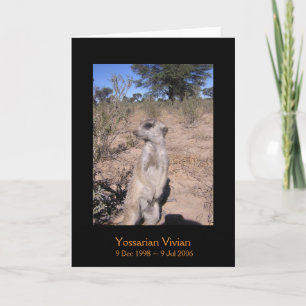 Yossarian - Legends Card