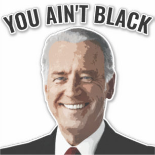YOU AIN'T BLACK JOE BIDEN CAR DECAL STICKERS
