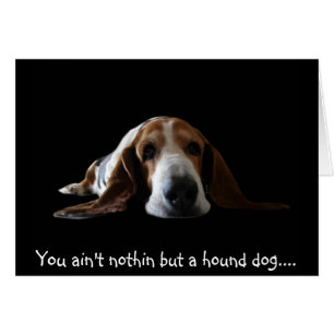 You ain't nothin but a hound dog